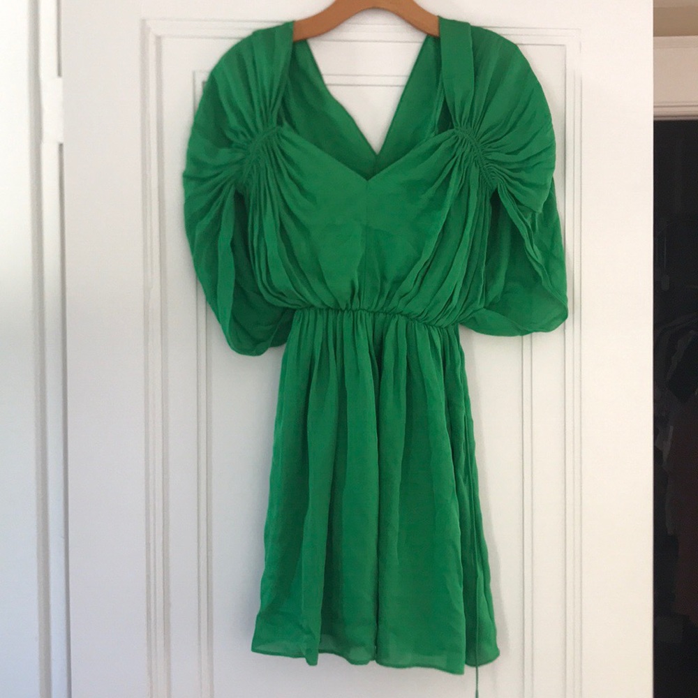 Halston heritage dress 2
